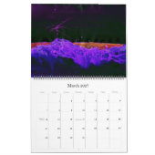 Wetdryvac.net Kalender (Mär 2027)