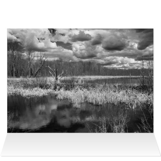 Wetland Cloudscape (Innenansicht Horizontal (Oben))