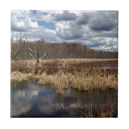 Wetland Cloudscape Fliese (Vorderseite)