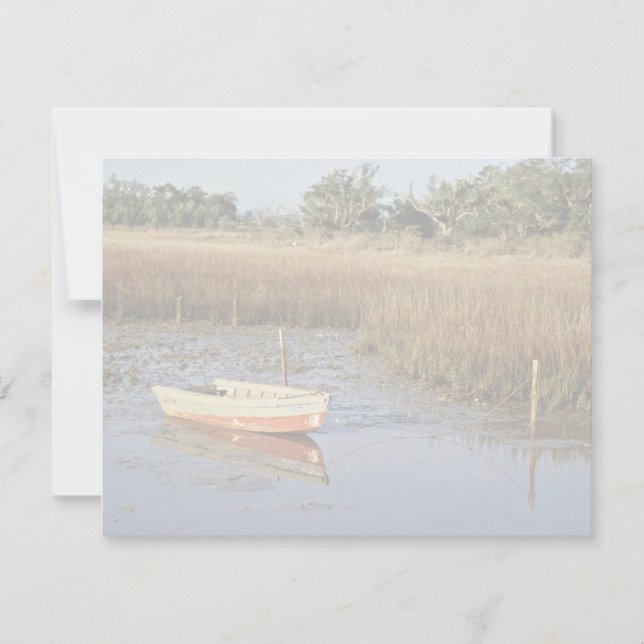 Wetland Myrtle Beach (Vorderseite)