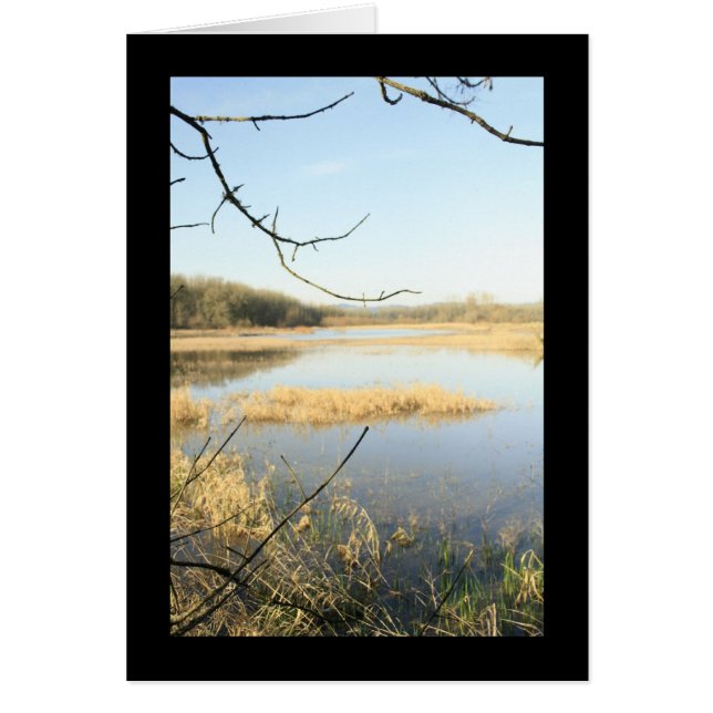 Wetland Wonderland (Vorne)