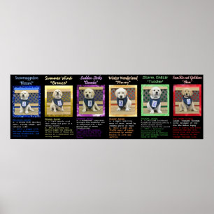 Wetter- und Bea-Name-Plakat Poster