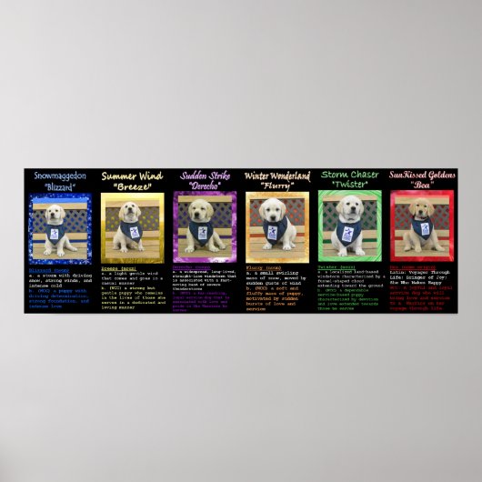 Wetter- und Bea-Name-Plakat Poster (Vorne)