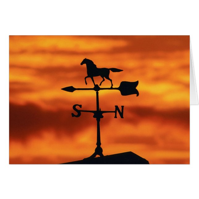 Wetter Vane bei Sonnenuntergang (Vorderseite (Horizontal))