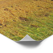 "WETTERBARN, GOLDENFELD, FALLFARBE" POSTER (Ecke)
