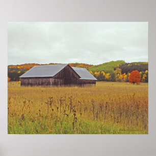 "WETTERBARN, GOLDENFELD, FALLFARBE" POSTER