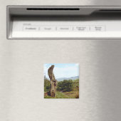 Wetterbaum im britischen Peak District Magnet (In Situ (Geschirrspüler))