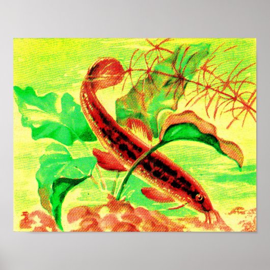 Wetterfisch Poster (Vorne)