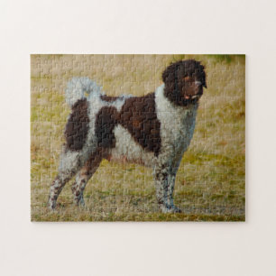 Wetterhoun Dog Jigsaws. Puzzle
