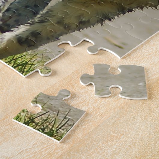 Wetterhoun Dog Jigsaws. Puzzle (Seite)