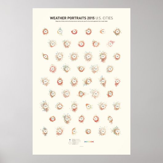 Wetterportraits 2015: US-Städte Poster (Vorne)