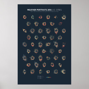 Wetterporträts 2014: US-amerikanische Städte Poster