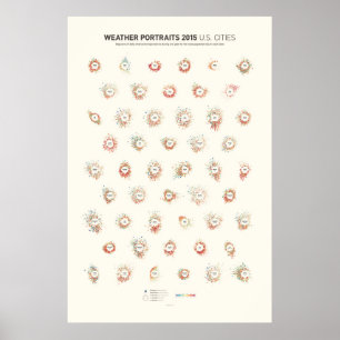 Wetterporträts 2015: US-amerikanische Städte Poster