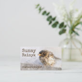 Wetterprognose lustig individuell anpassbar visitenkarte (Stehend Vorderseite)