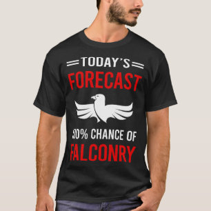 Wettervorhersage für heute Falknerei Falkner T-Shirt