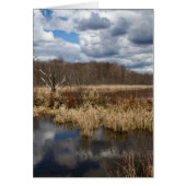 Wetterwolke vertikal (Vorne)