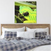 Wevil , Käfer , Curculionoidea , Bug Leinwanddruck (Insitu (Schlafzimmer))