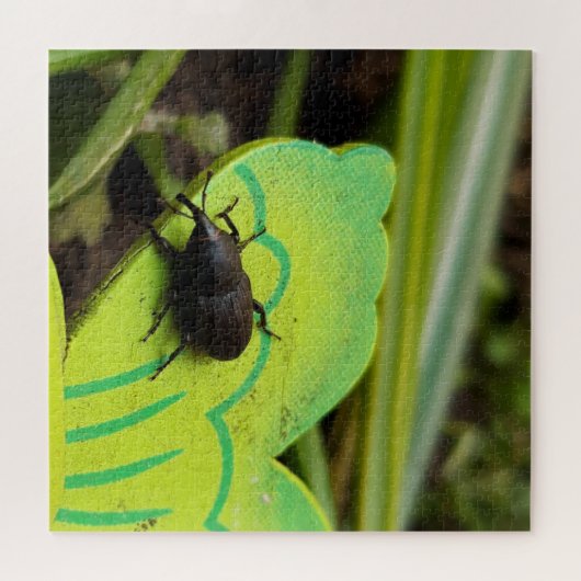 Wevil , Käfer , Curculionoidea , Bug Puzzle (Horizontal)