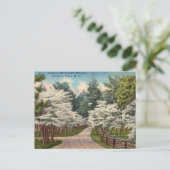 Weymouth Heights, Southern Pines, North Carolina Postkarte (Stehend Vorderseite)