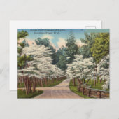 Weymouth Heights, Southern Pines, North Carolina Postkarte (Vorne/Hinten)