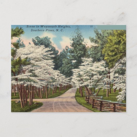 Weymouth Heights, Southern Pines, North Carolina Postkarte (Vorderseite)