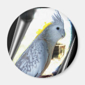 WF tiel Magnets Magnet (Vorne)