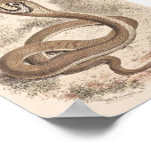 WH Freeman - Cobra di Capello Portfolio Poster (Ecke)
