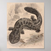 WH Freeman - The Great Japanese Salamander P/folio Poster (Vorne)