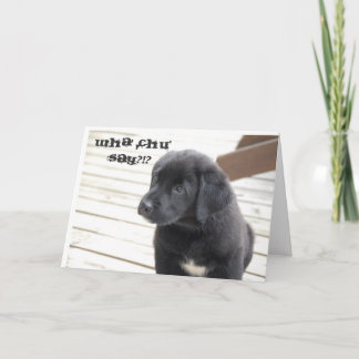 wha chu sagen?!? karte