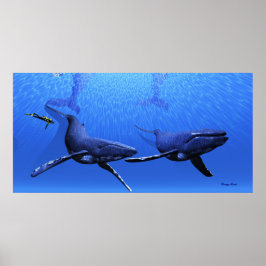 Whale 01 Print Poster