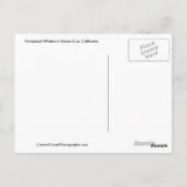 Whale a Time Santa Cruz Postcard Postkarte (Rückseite)