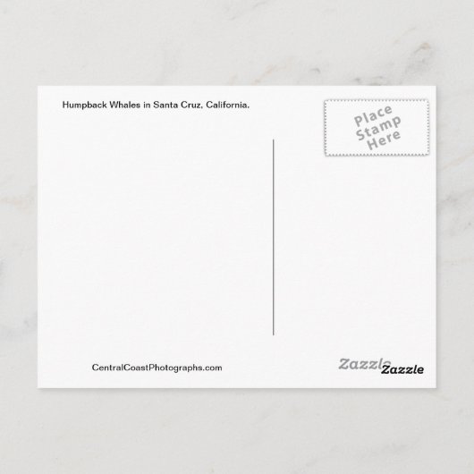 Whale a Time Santa Cruz Postcard Postkarte (Rückseite)