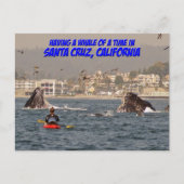 Whale a Time Santa Cruz Postcard Postkarte (Vorderseite)