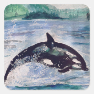 Whale Aquarell zeichnend Aufkleber