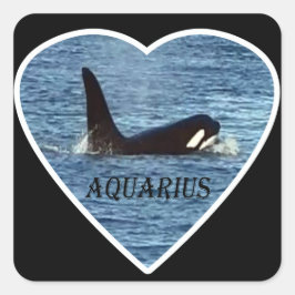 Whale "Aquarius" Orca Quadratischer Aufkleber