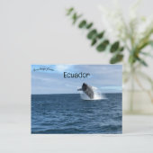 Whale Breaching in Galapagos Santa Cruz Ecuador Postkarte (Stehend Vorderseite)