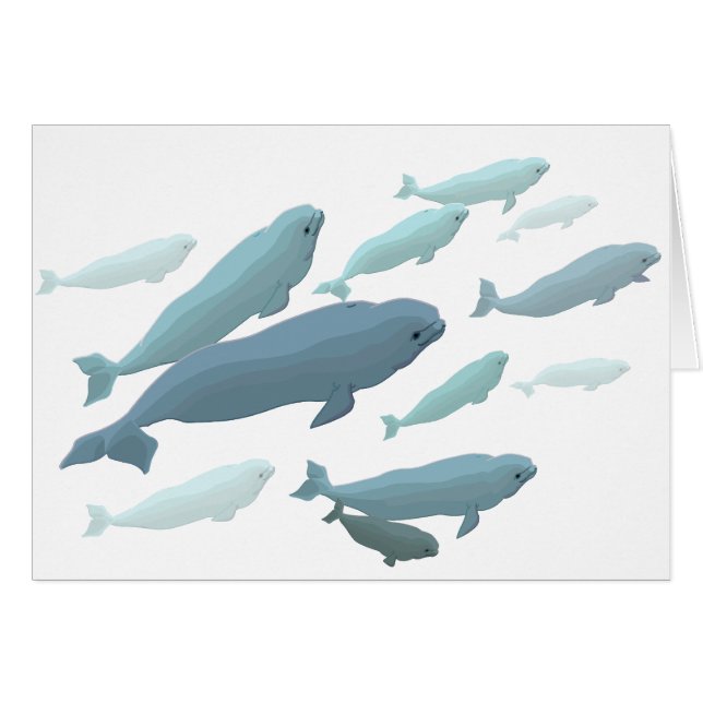 Whale Cards Personalisiert Beluga Whale Art Cards (Vorderseite (Horizontal))