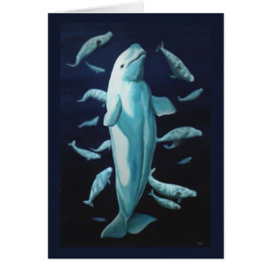 Whale Cards Personalisiert Beluga Whale Art Cards