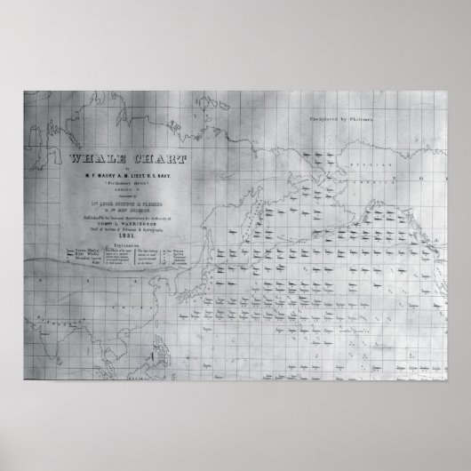 Whale Chart of the North Pacific, 1851 Poster (Vorne)