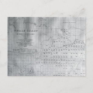 Whale Chart of the North Pacific, 1851 Postkarte