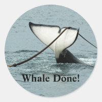 Whale Fertig! Aufkleber