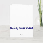 Whale fertig! Glückwunsch-Karte Karte (Rückseite)