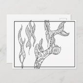 Whale Flukes Schwarze und weiße Postkarte (Vorne/Hinten)