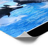 Whale Foto Poster Print (Ecke)