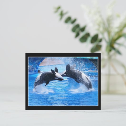Whale Foto Postkarte (Stehend Vorderseite)