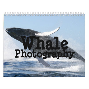 Whale Fotografy Calendar Kalender