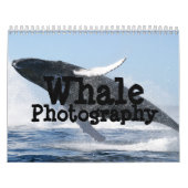 Whale Fotografy Calendar Kalender (Titelbild)