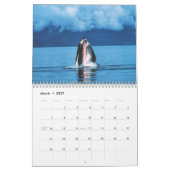 Whale Fotografy Calendar Kalender (Mär 2027)