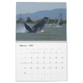 Whale Fotografy Calendar Kalender (Feb 2027)