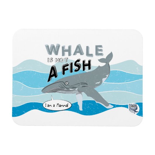 Whale is not a fish magnet (Horizontal)